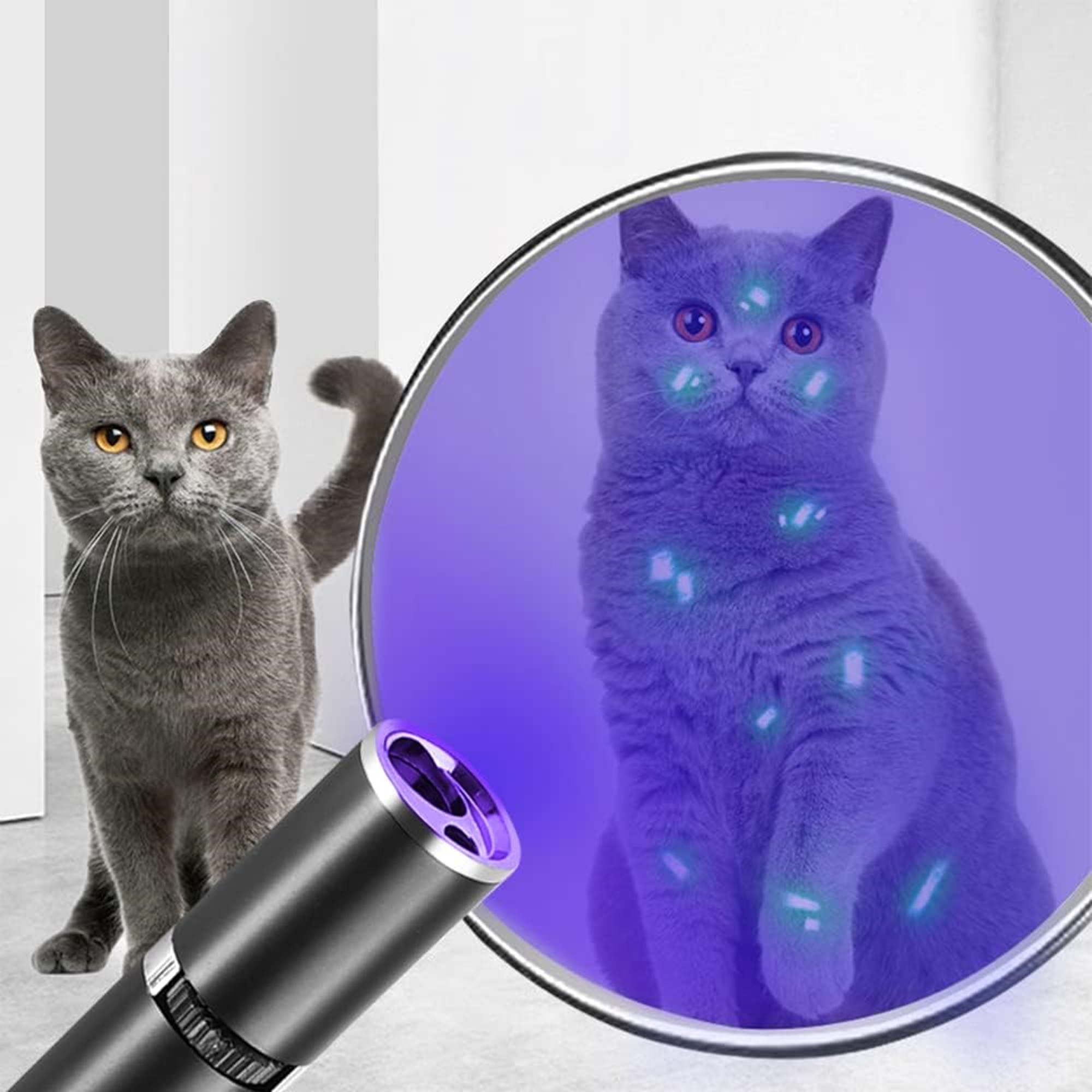 Cat Toys USB Recharge Laser Pointer With UV Purple Light 3