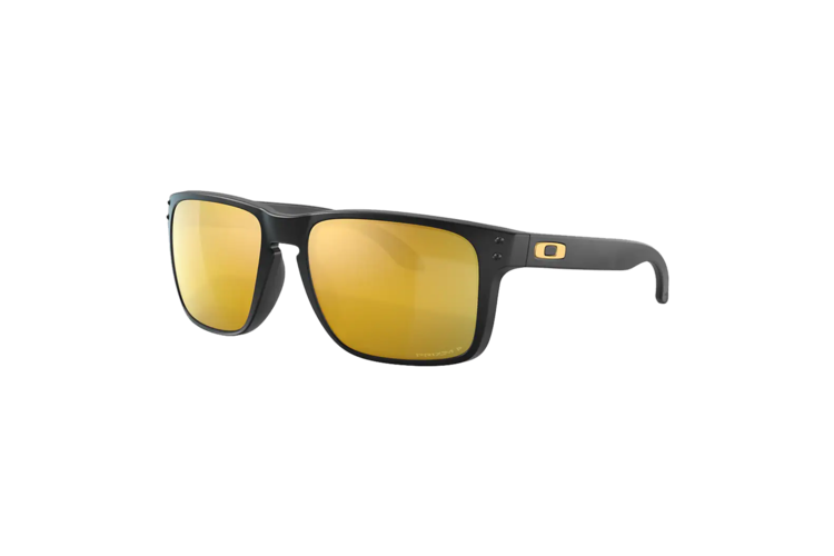 Oakley Polarized Holbrook XL Sunglasses 1