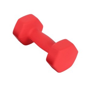 Hexagonal Neoprene Dumbbell 8