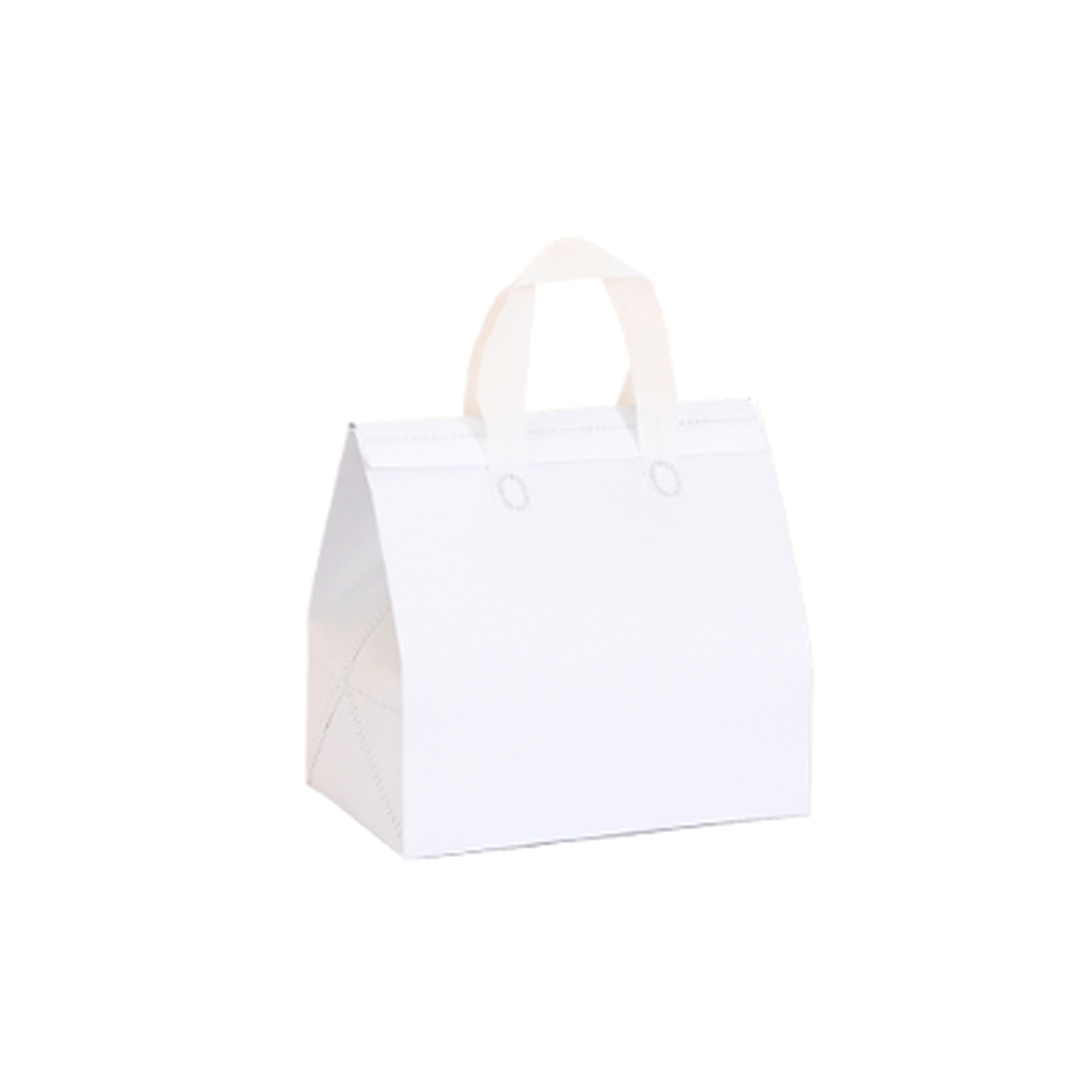 Disposable Insulated Bag 6
