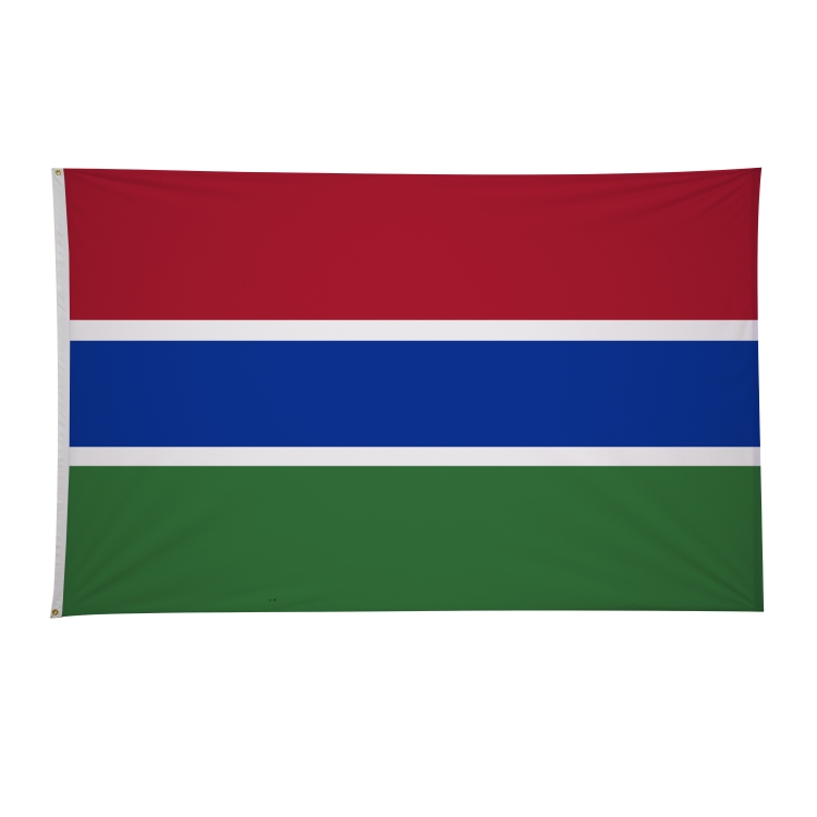5' x 8' International Flags 231