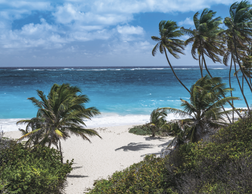 HotLine® Products Beaches Appointment Calendar - Stapled 24