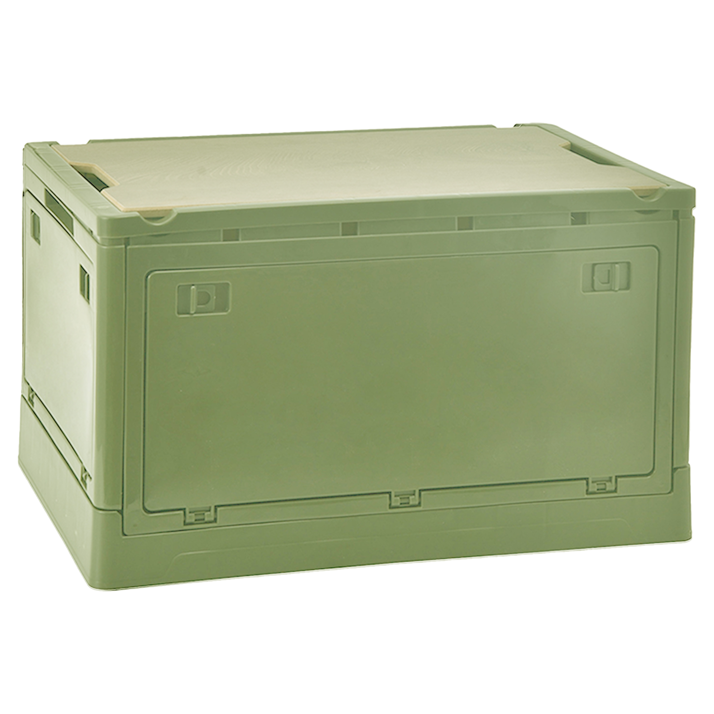 Plastic Trunk Storage Box 13