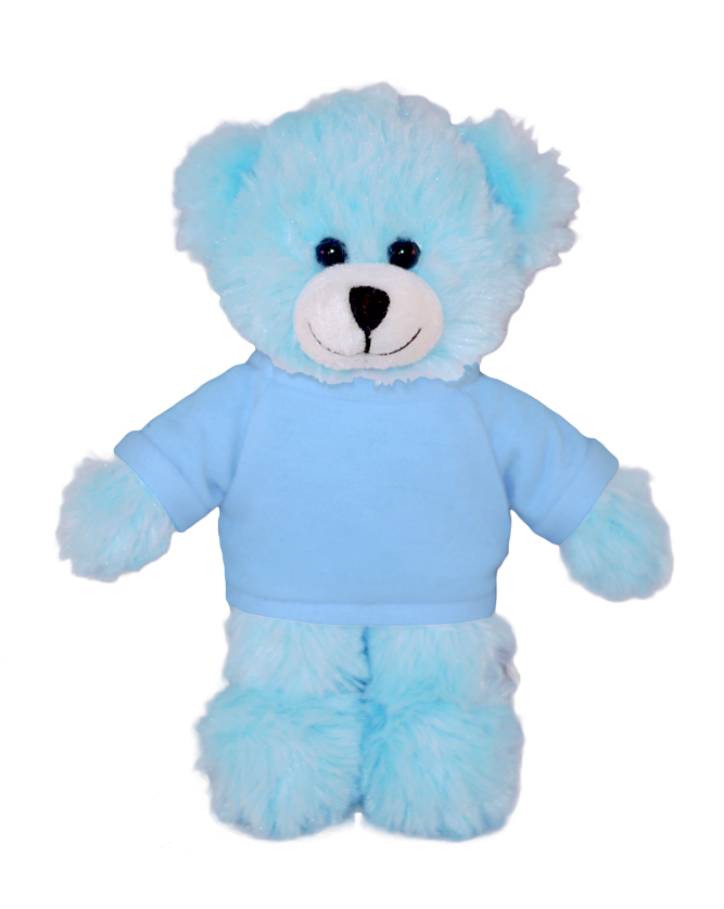 Blue Bear with Tee