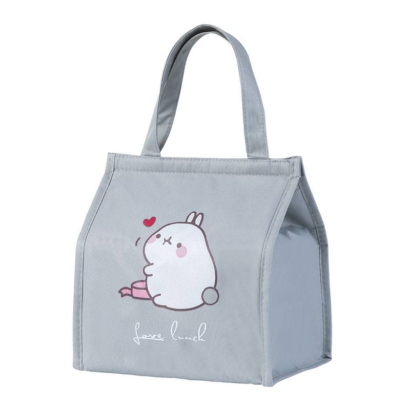 Oxford Thermal Lunch Cooler Tote Bag 5