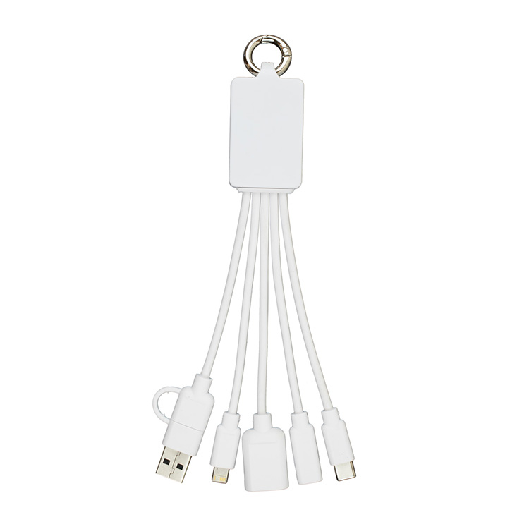 "FUSION" Charging Cable With 2 Port USB Hub 17