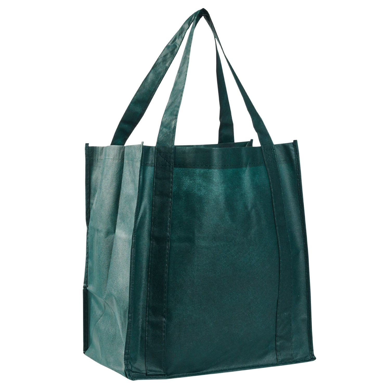 Grocery Bag 9