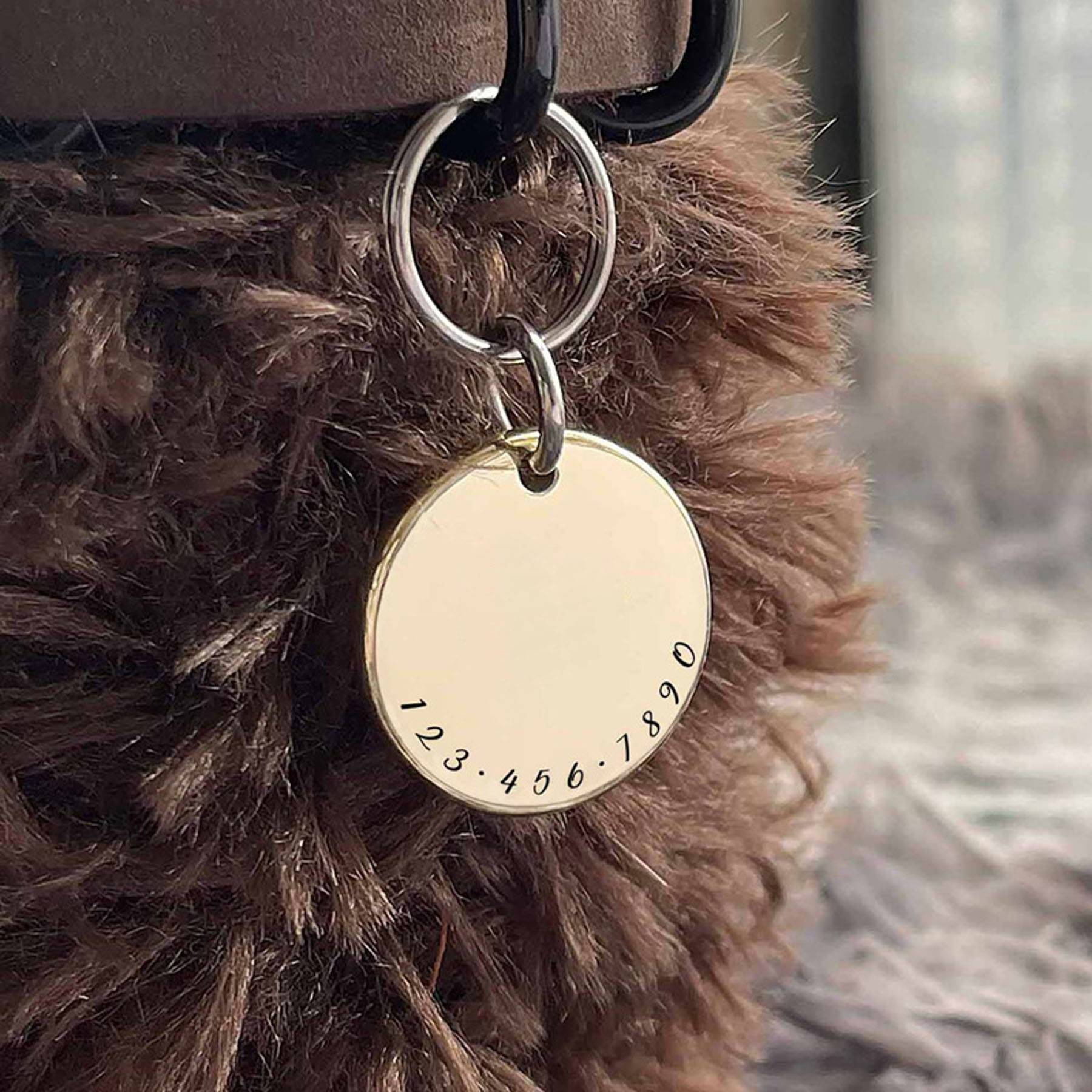 Pets ID tags 5
