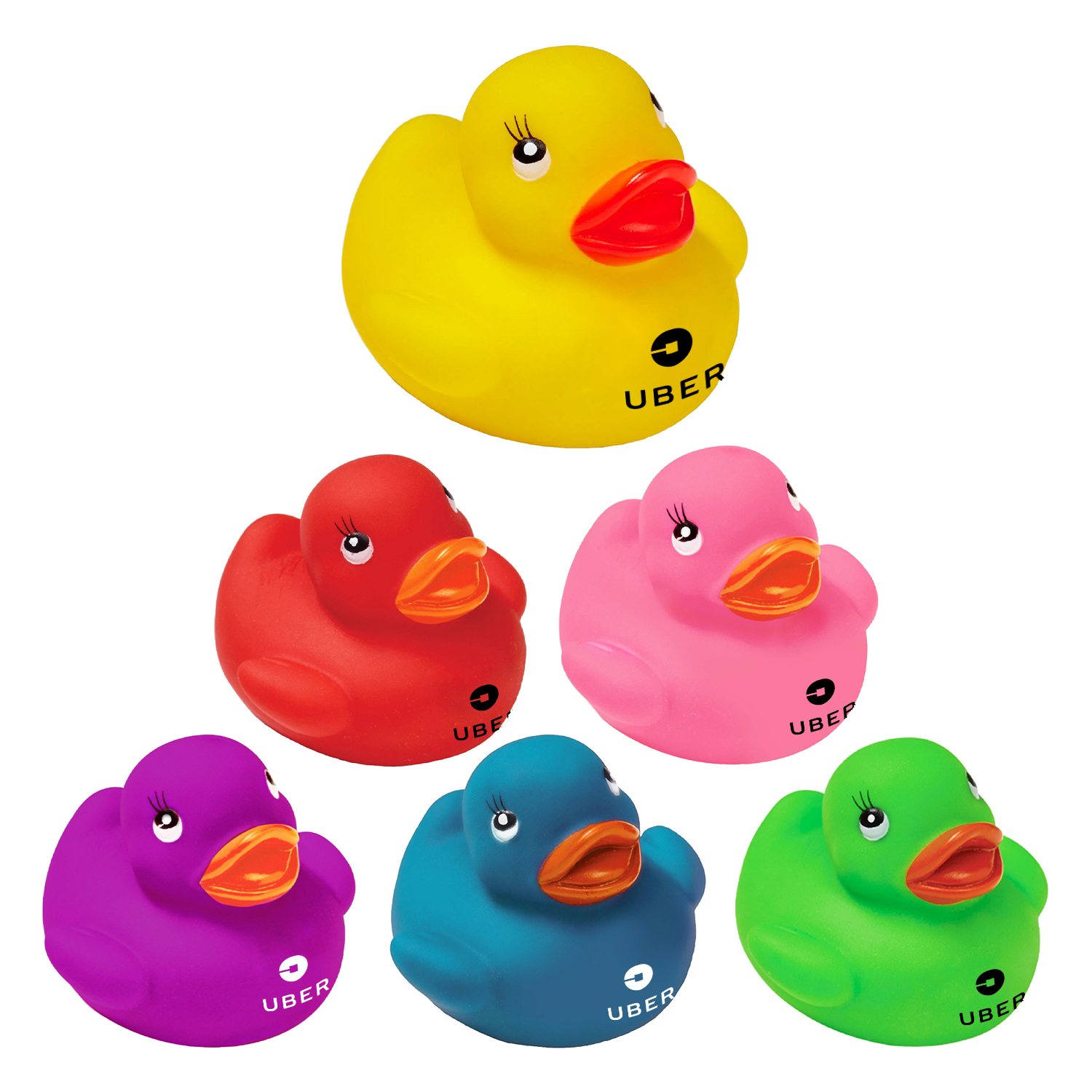 Colorful Duck 9