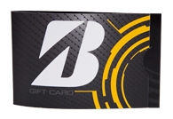 Plastic Card Carrier 7