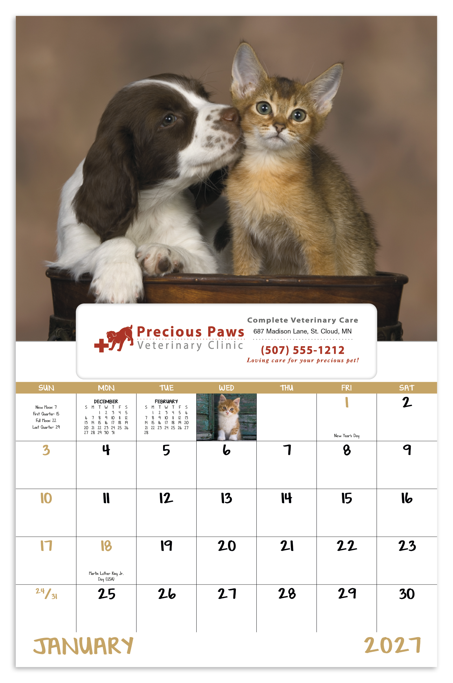 Good Value™ Puppies & Kittens - Window Calendar 55