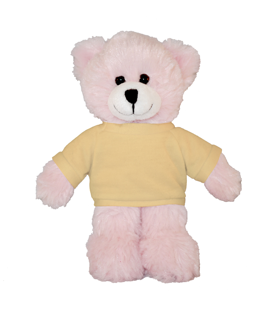 Pink Bear with Tee 20
