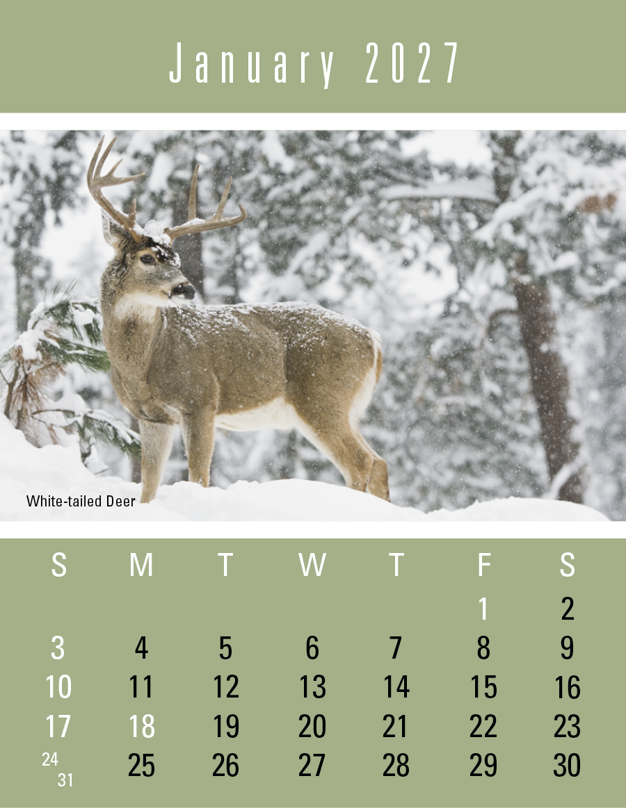Triumph® Calendars Press-N-Stick Sportsmen Calendar 1357