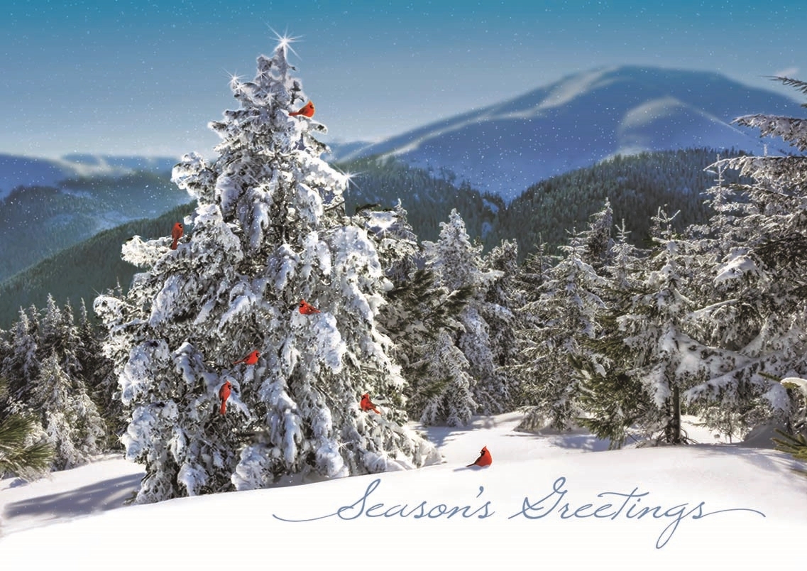 Fresh View Holiday Greeting Cards 2