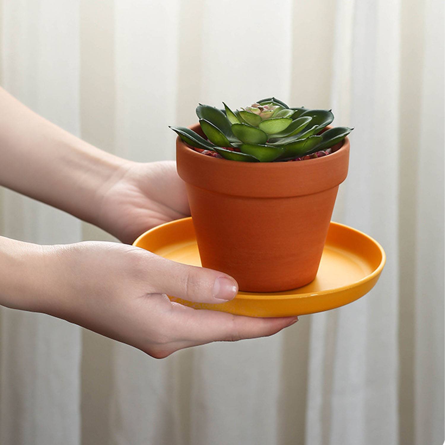 Snack cake small plate dining table garbage tray 6