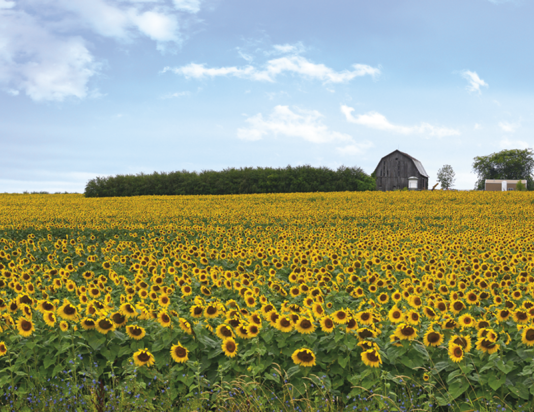 Triumph® Calendars Michigan Calendar 43