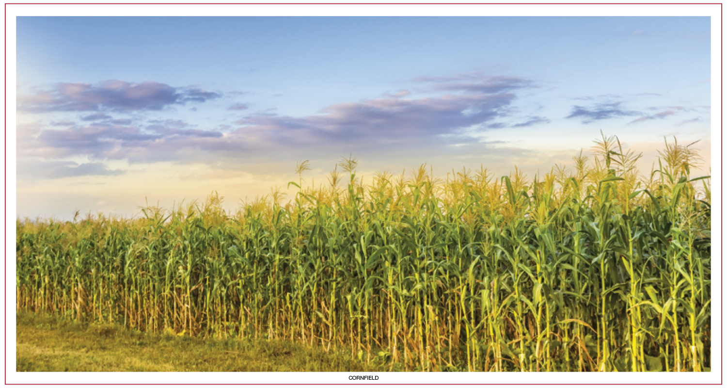 Skinner & Kennedy® Large Everyday Farm Memo 126
