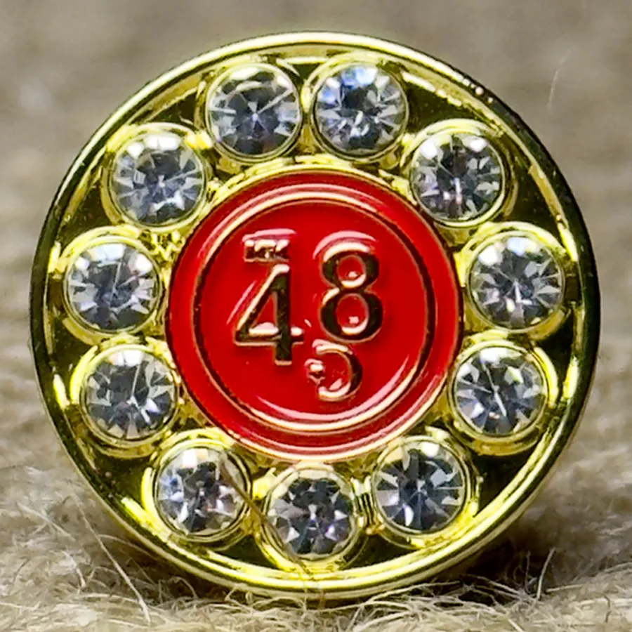Rhinestone Pin 11