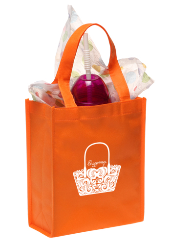 Small Non-Woven Gift Bags 18