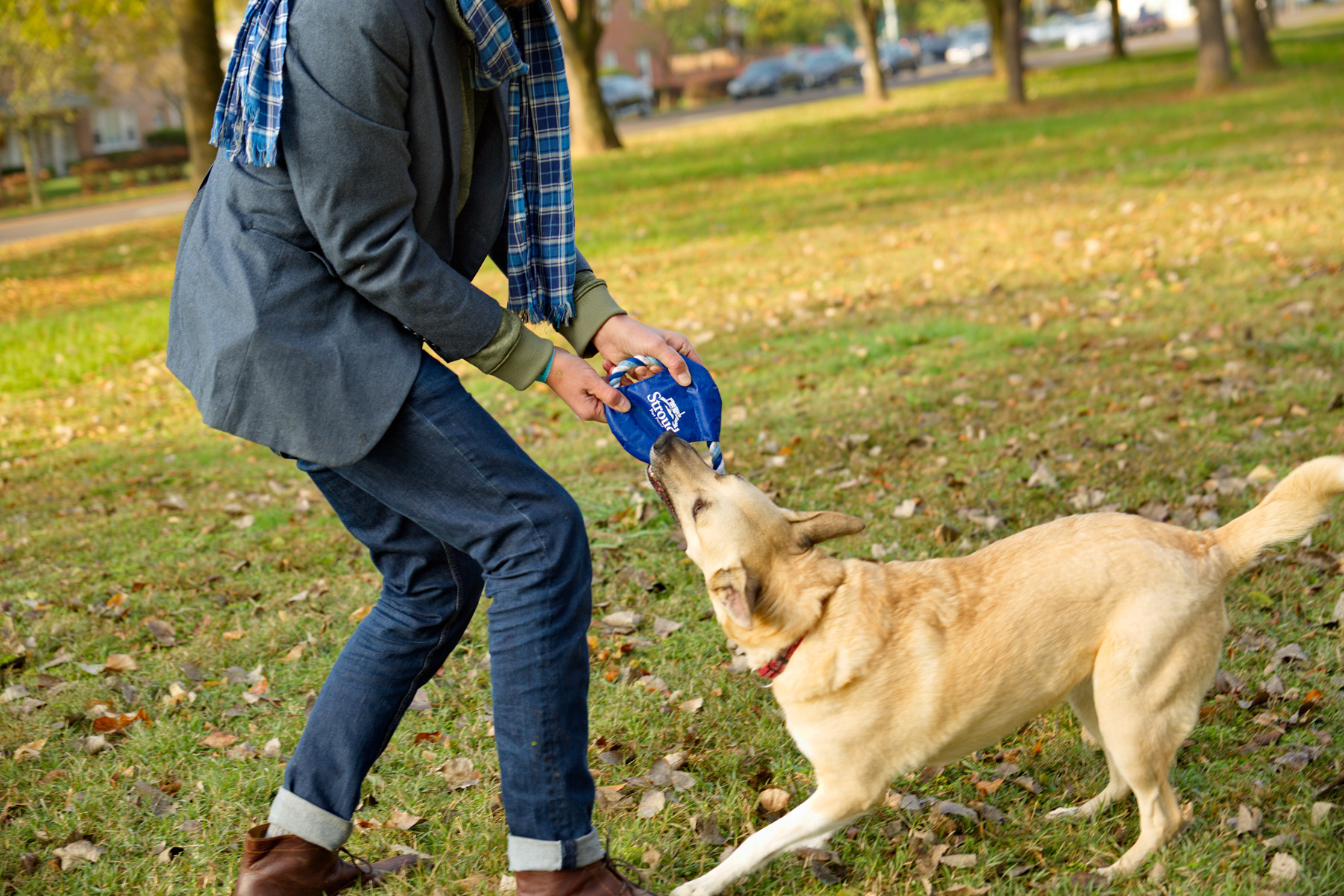 Fetch-It Dog Toy 7