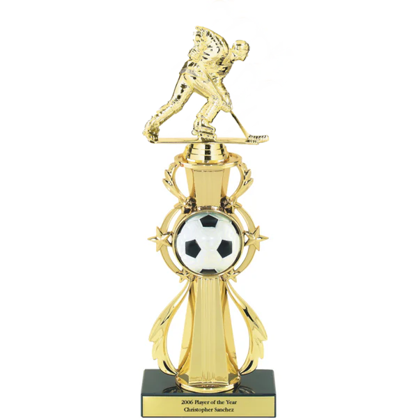 3D Full Color Sport Ball Star Riser Award Trophy 4