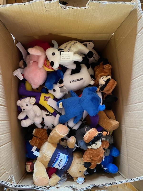 Box of Assorted Stuffed Plush Toy stuffed animals closeouts 3