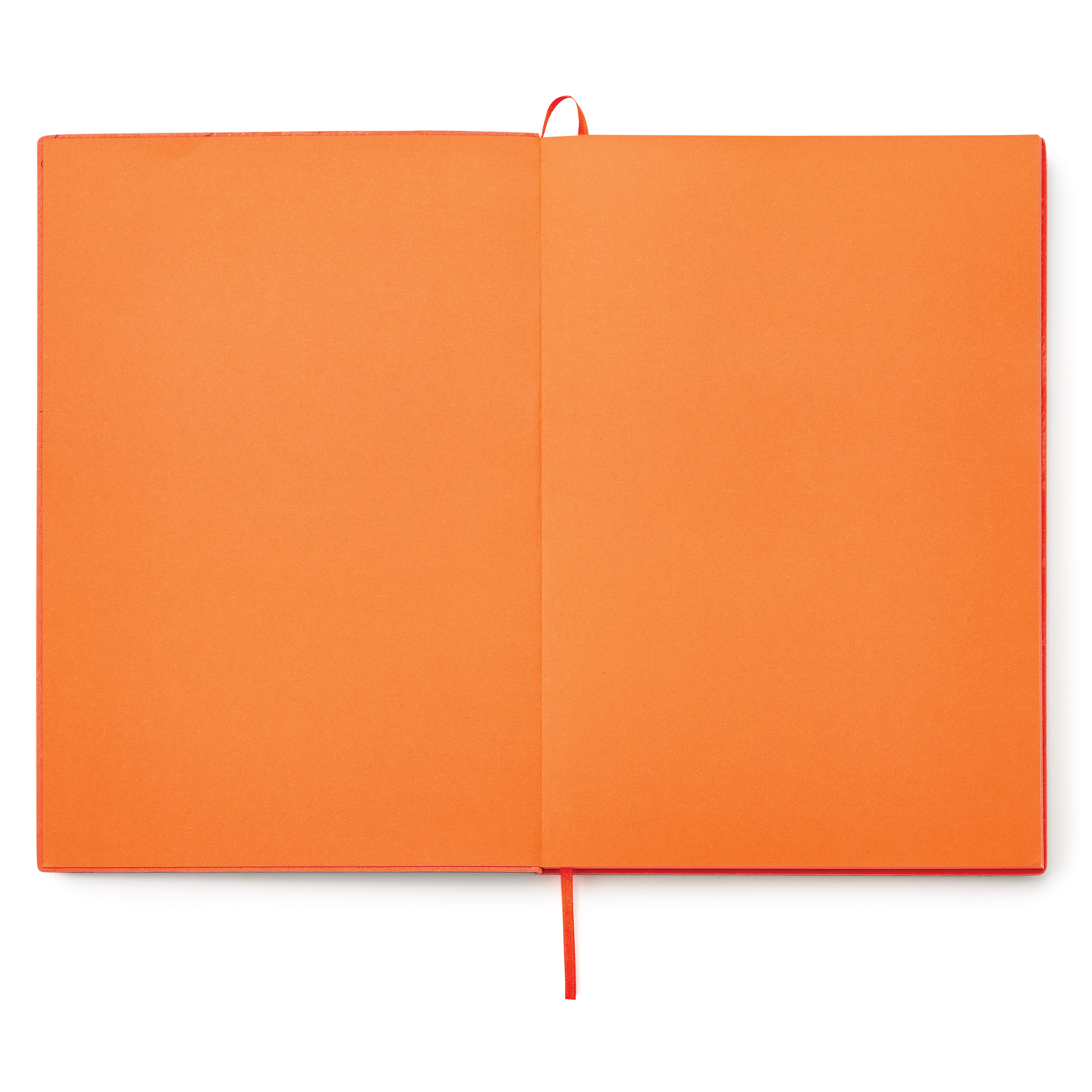 Donald single meeting journal 57