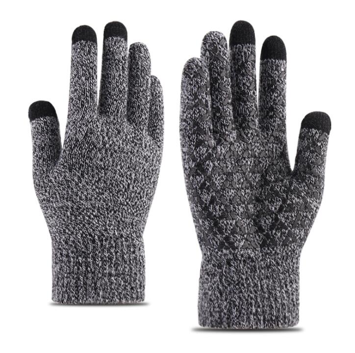 Winter Gloves 3