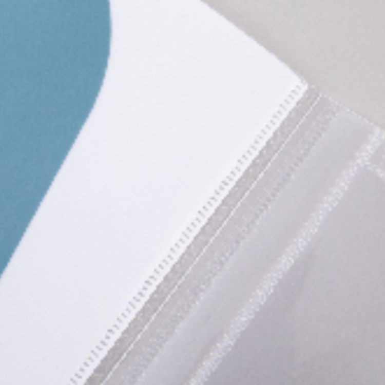 Document Bag 2