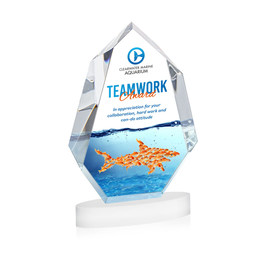 Norwood VividPrint™ Award on Alberton Base - White 6