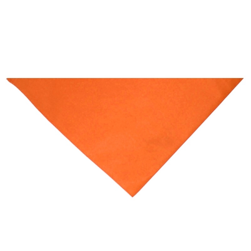 Dog Triangle Bandana 6