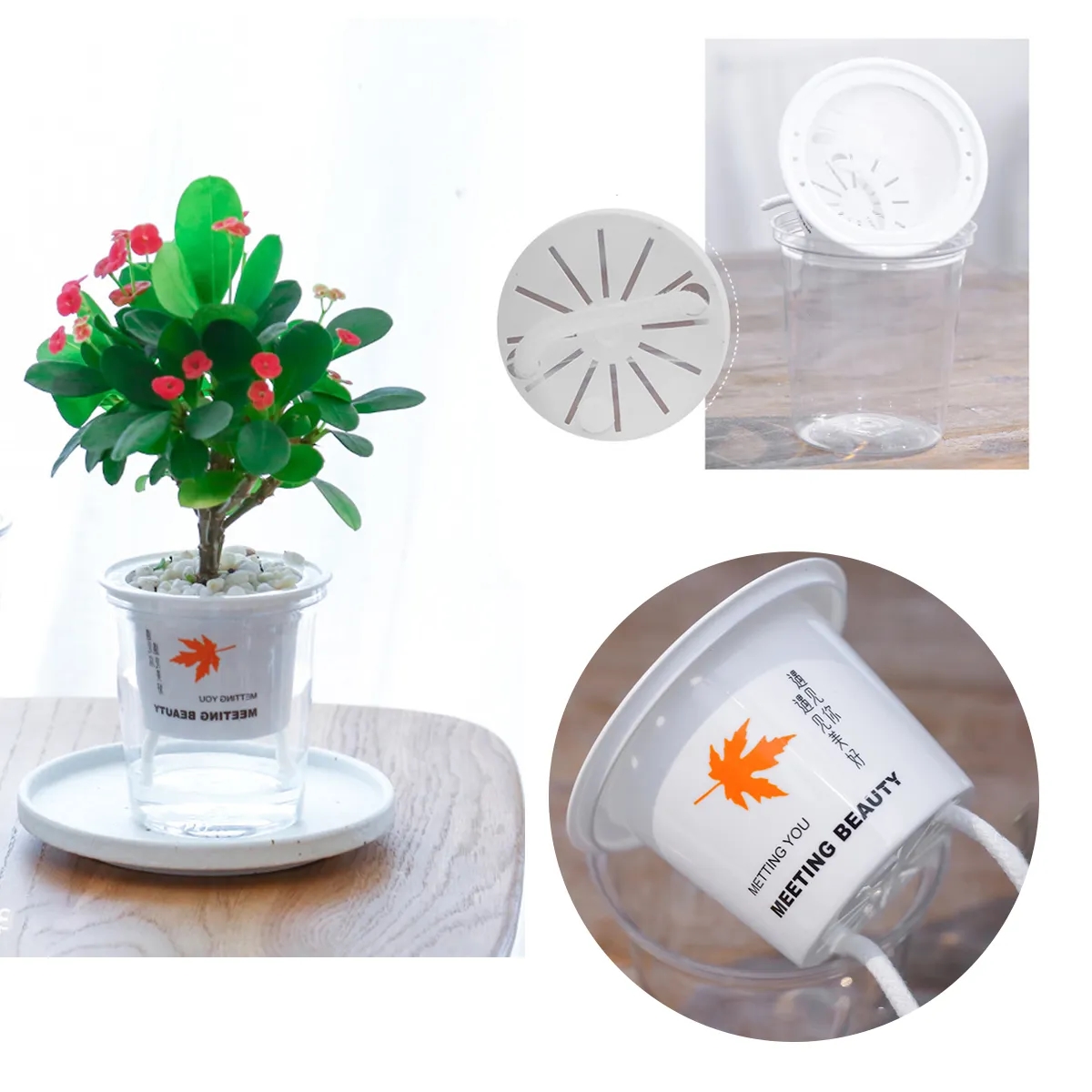 Self Watering Clear Resin Planter With Wick 5