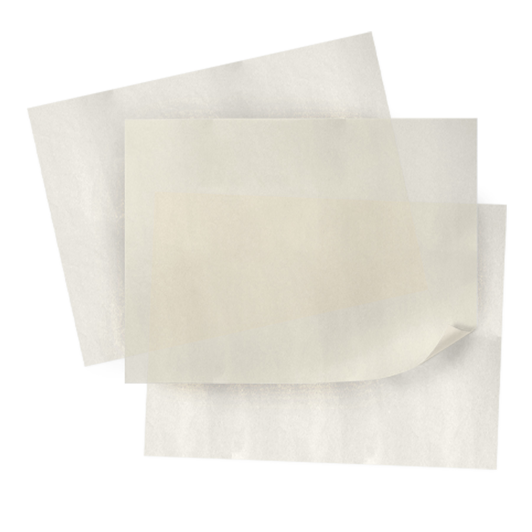 Full Color Printed Paper Tissue - Half Sheet 3