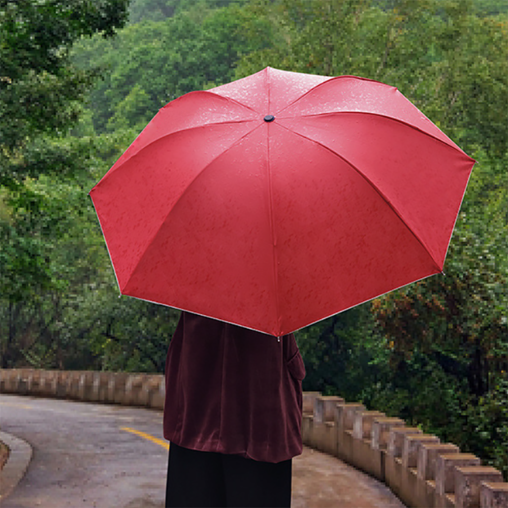 The Travel Umbrella 2