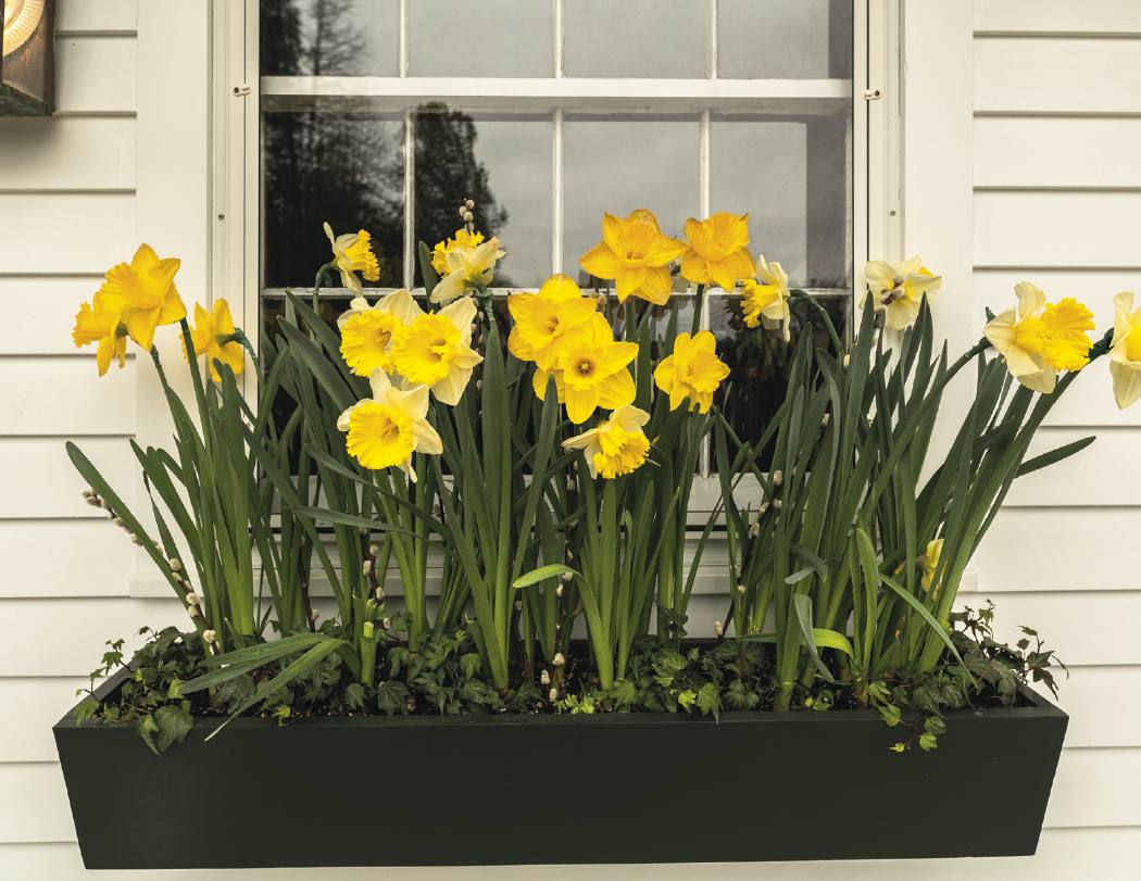 Triumph® Calendars Gardens Calendar 21