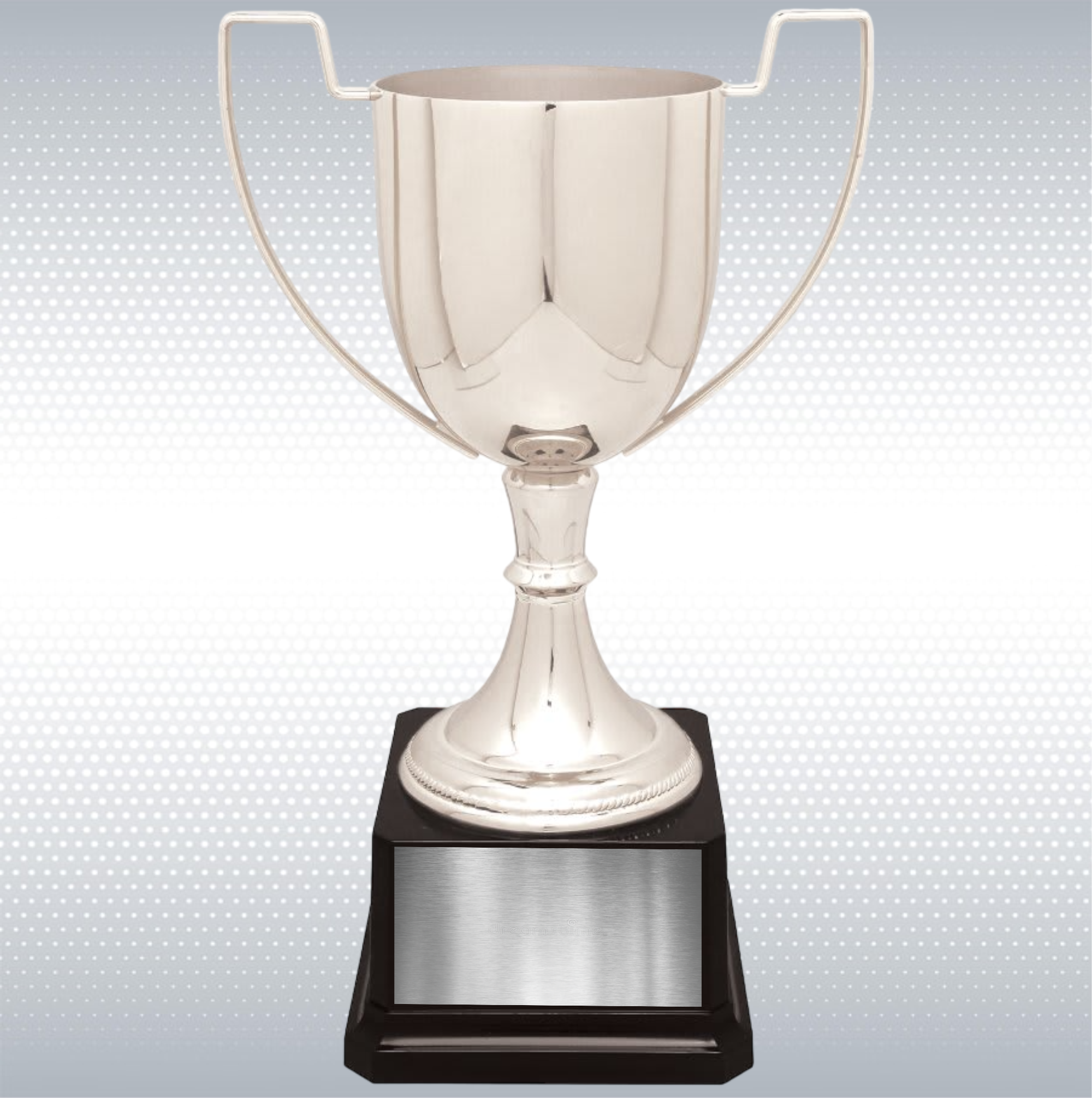 10 1/2" Completed Zinc Cup Trophy on Plastic Base 10