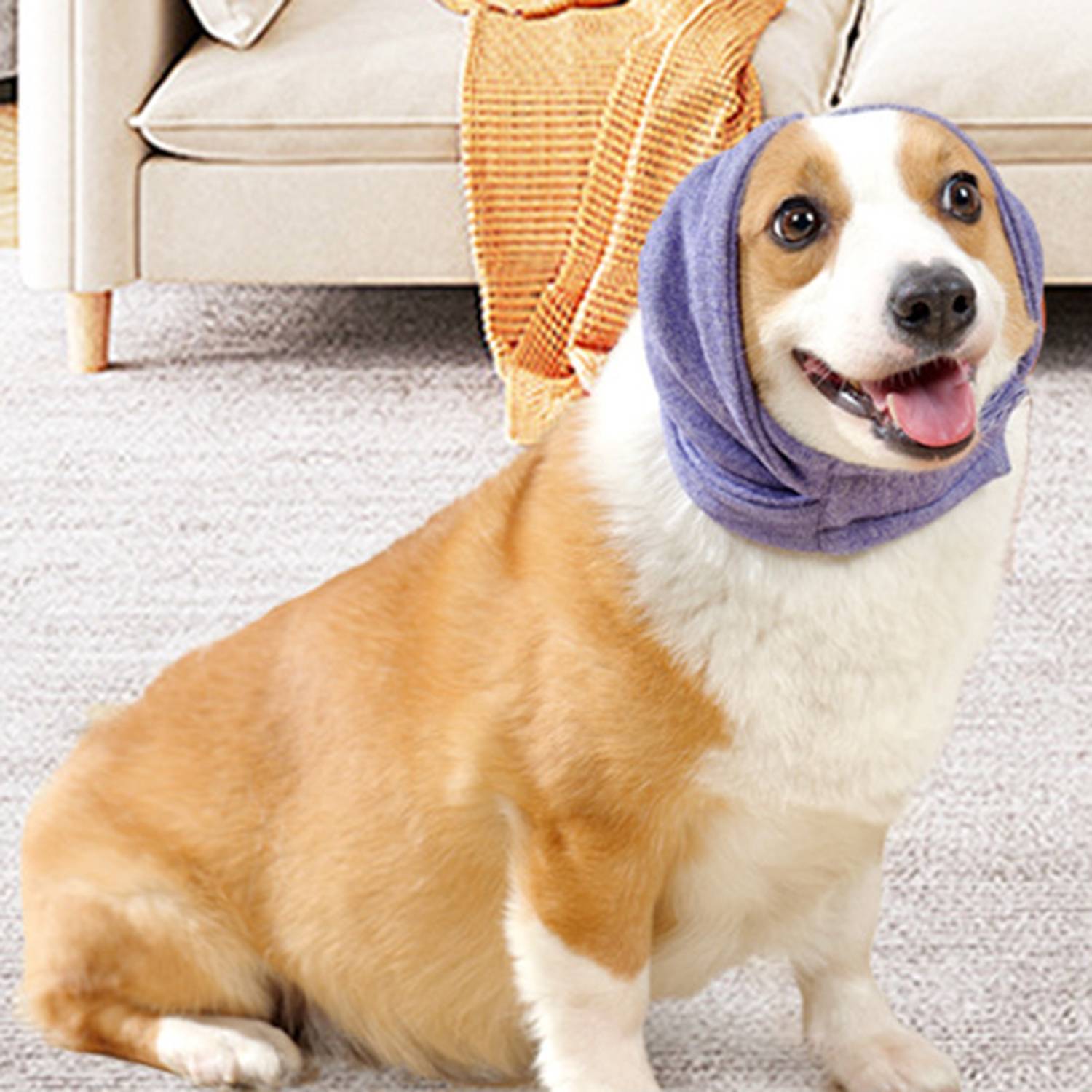 Pet Thermal Headgear 2