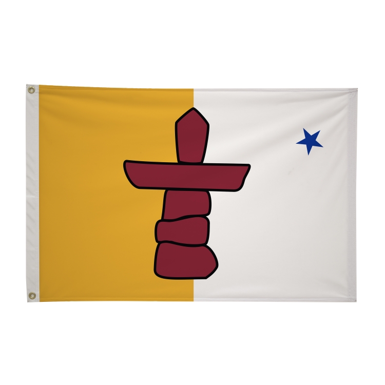 2' x 3'International Flag 67