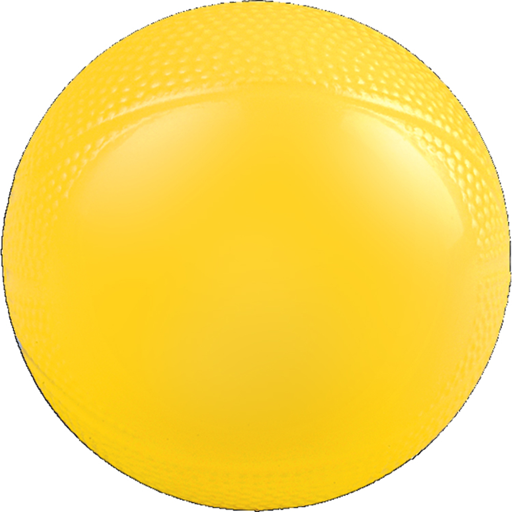 Mini Vinyl Basketball 18