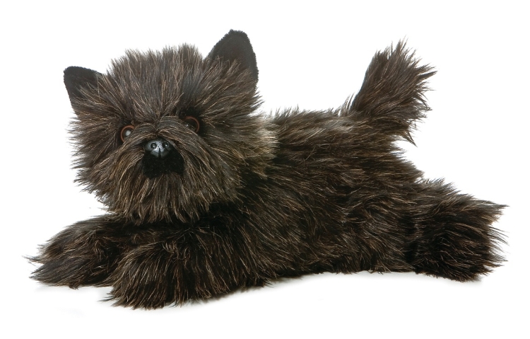 Grand Series 12" Grand Cairn Terrier 2