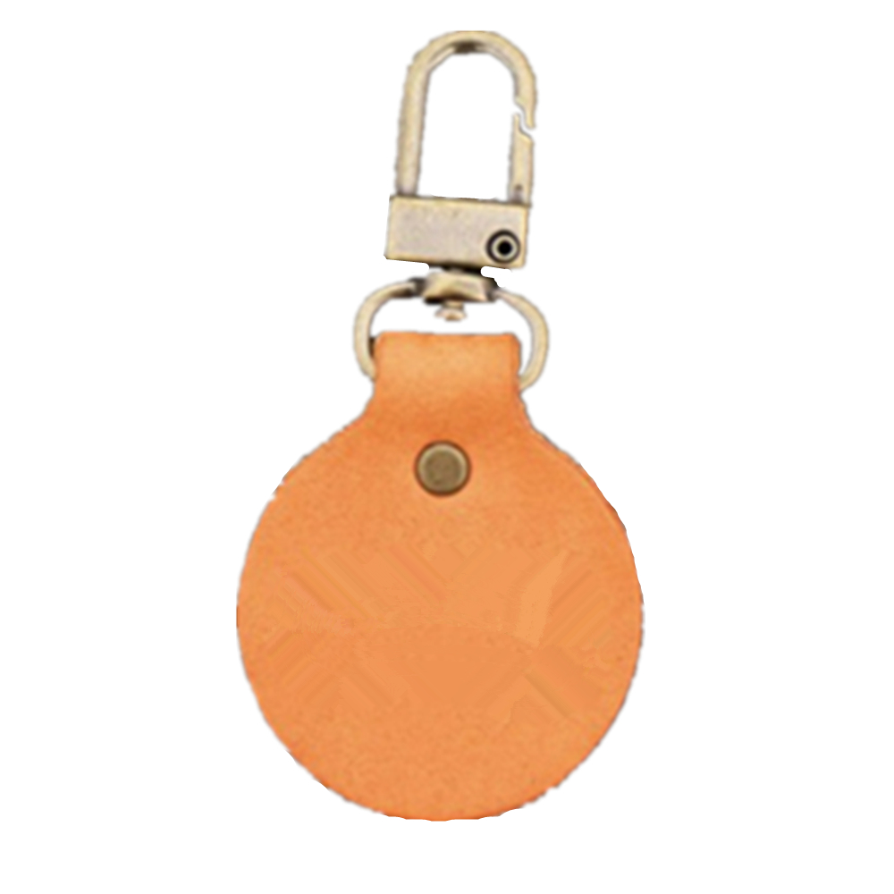 Classic Pet Collar Name Tag 3