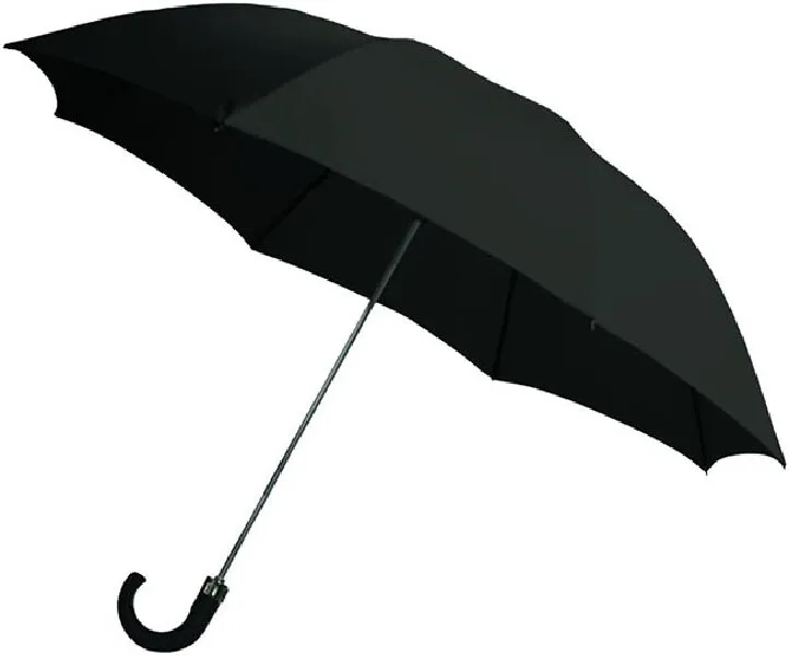 Executive Umbrella 4