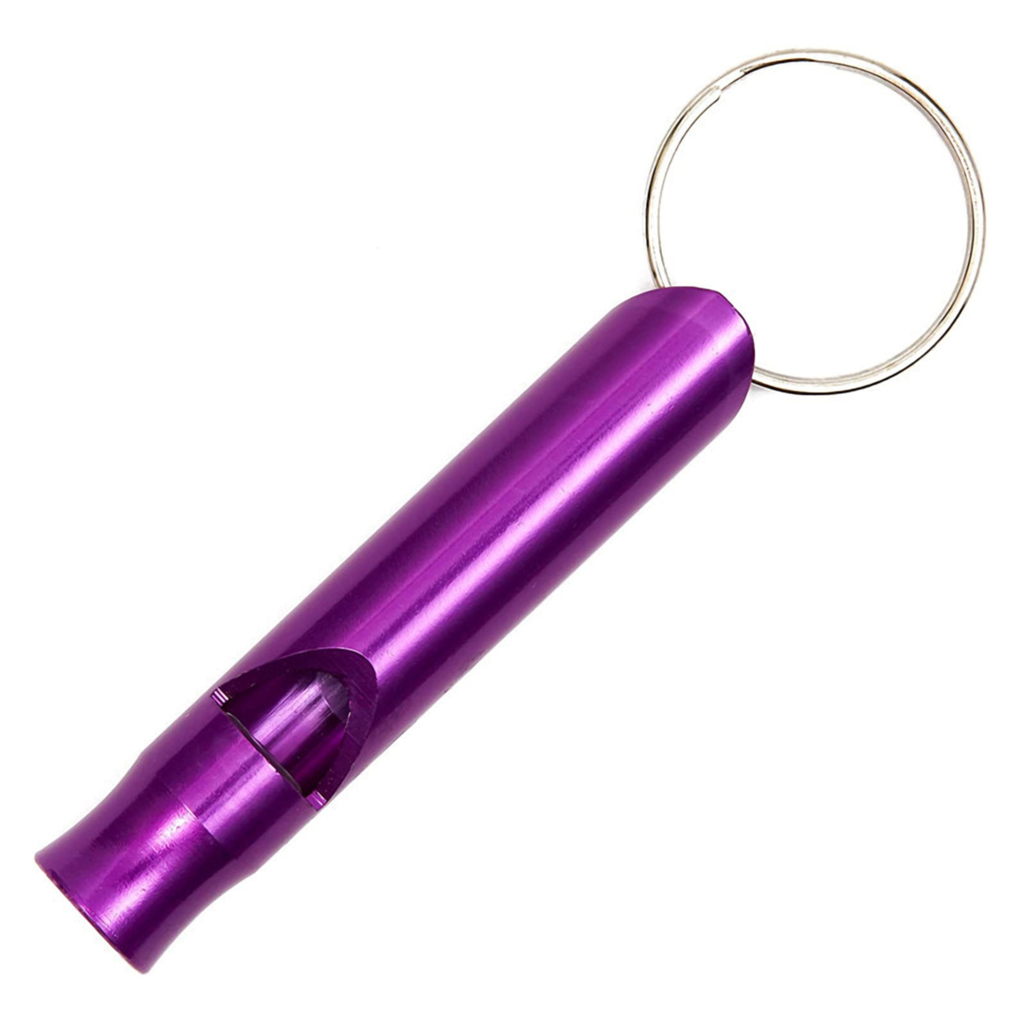 Compact Stainless Steel Whistle with Keychain 2