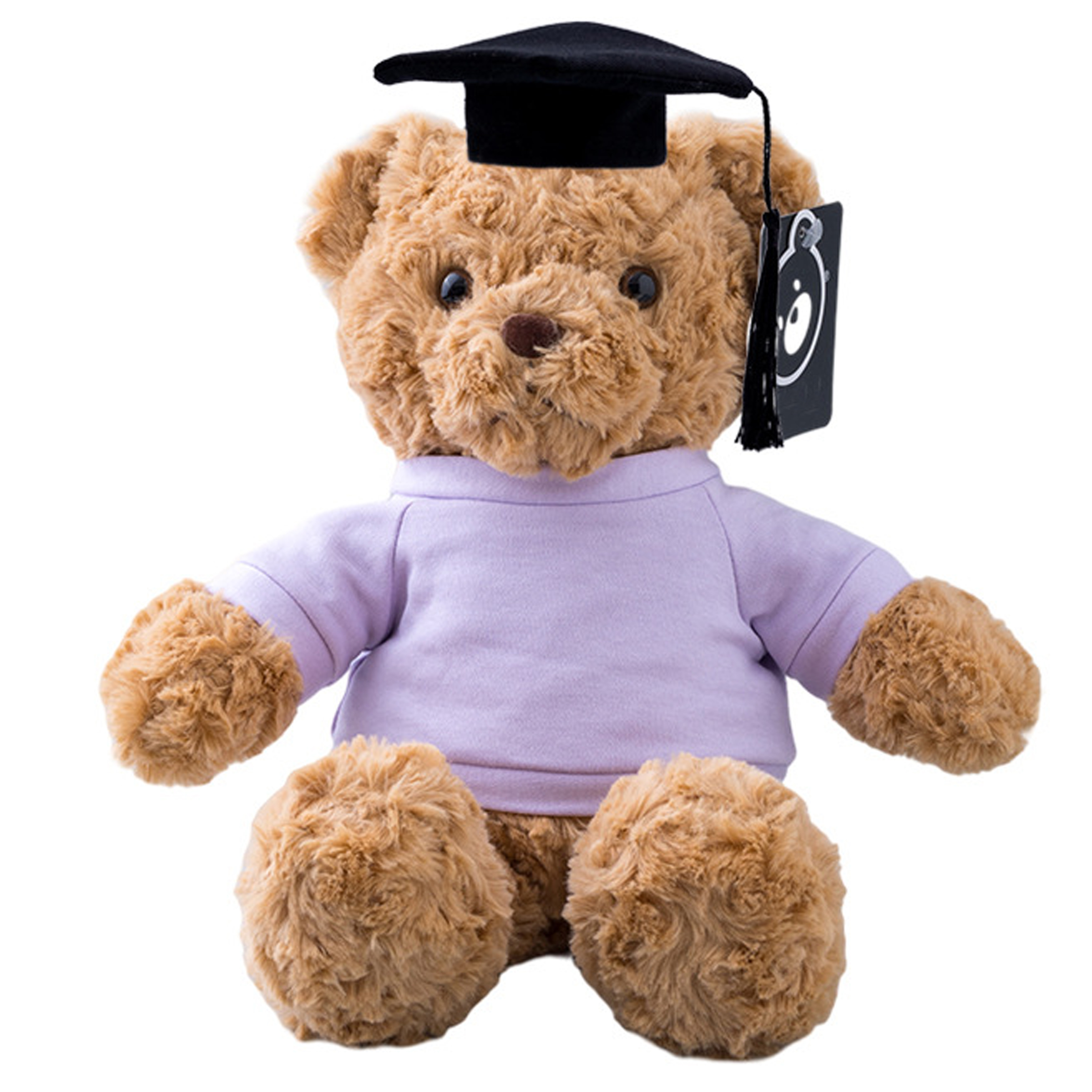 Polypropylene Fiber Graduation Ceremony Teddy Bear Doll 1
