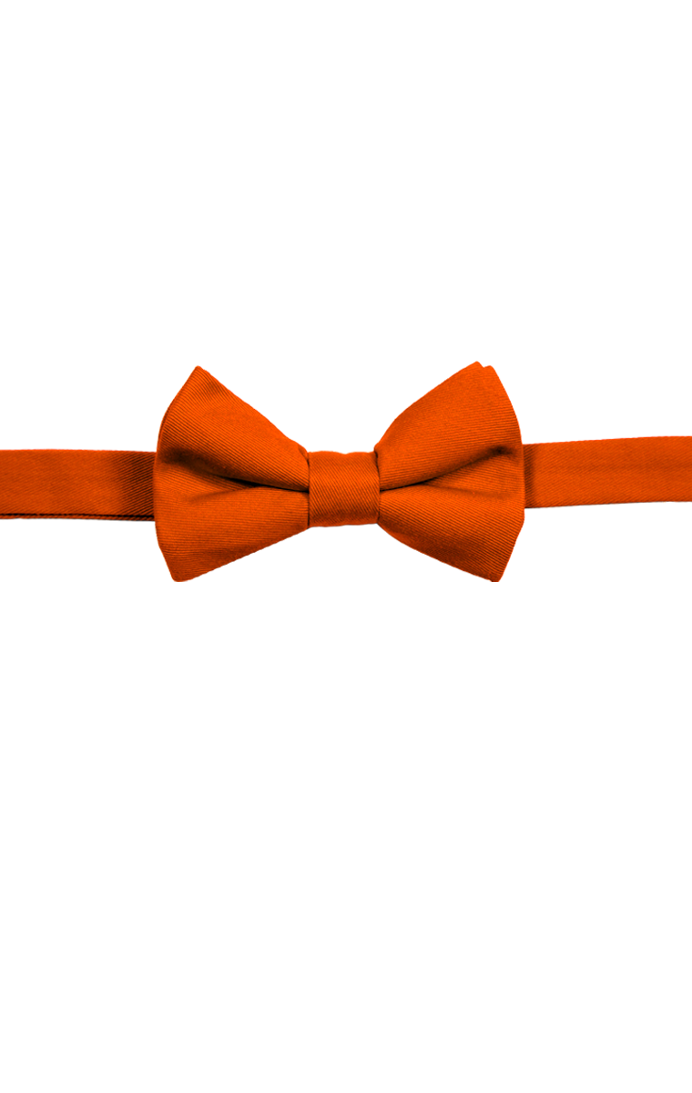 Scotchgard Treated Twill Bow Tie 19