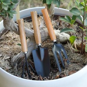 3 Pieces Garden Planting Tool 2