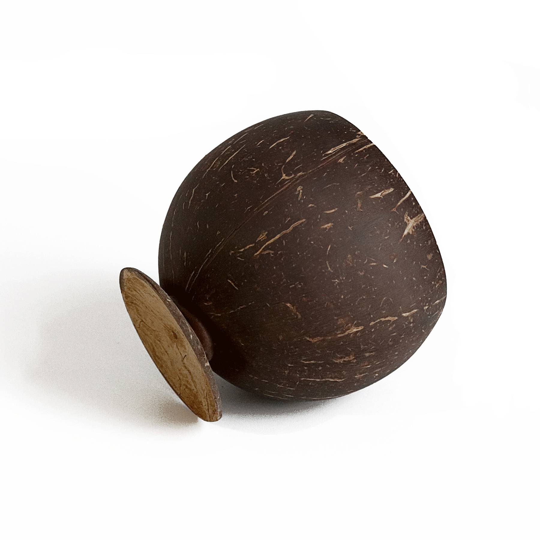 16 Oz. Coconut Gobles Shell Cups 2