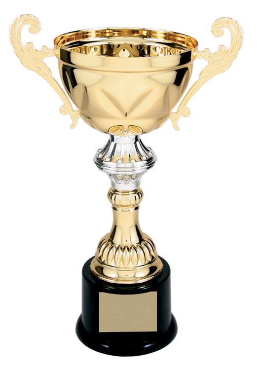 11-1/2" Tall Gold Metal Cup Trophy 1