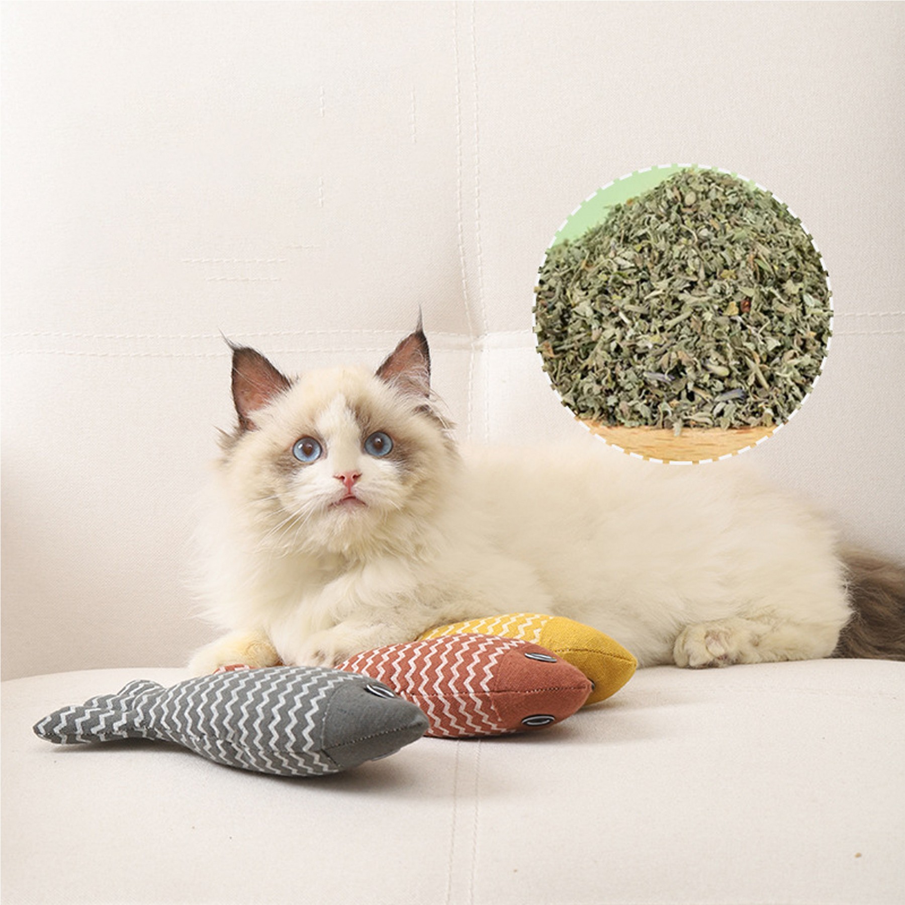 Cat Catnip Toy Fish 5
