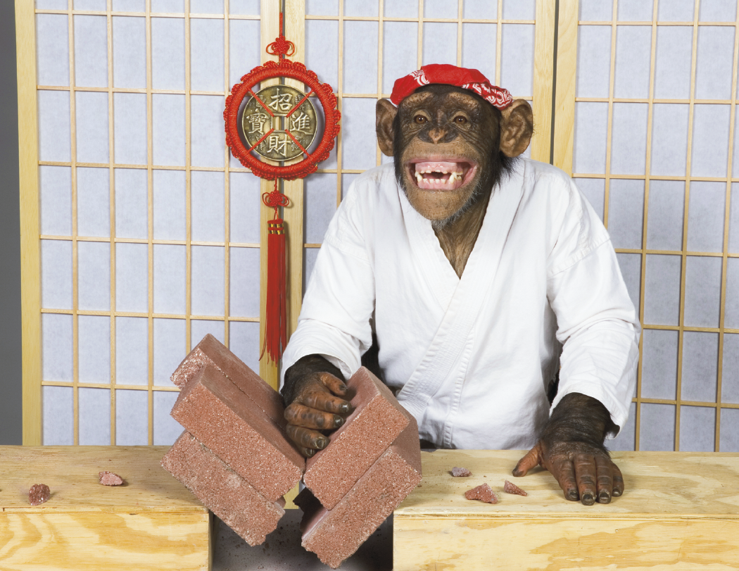 Good Value™ Monkey Mischief - Stapled Calendar 45